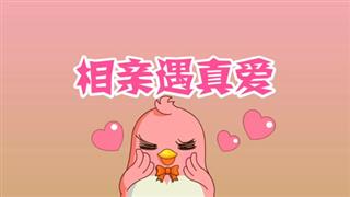 奋斗的小易之《相亲遇到真爱》