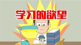 单飞网《小明九点半》之《学习的欲望》
